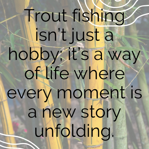 Trout Captions Image For Instagram In [2025]-jul2sI