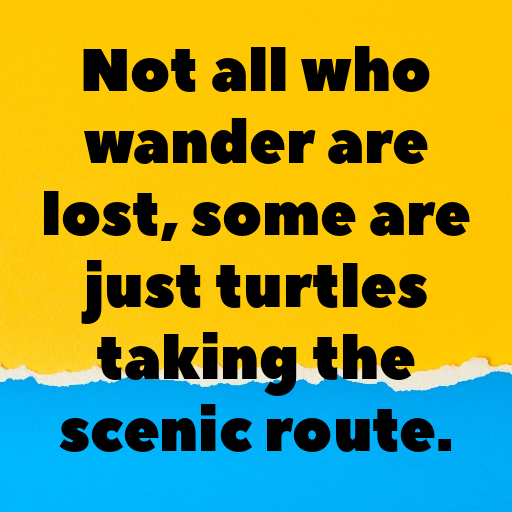 158+ Turtle Captions For Instagram In 2025 10 Turtle Captions Image For Instagram In 2025-QKFAnE