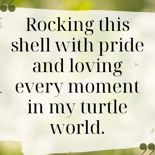 158+ Turtle Captions For Instagram In 2025 9 Turtle Captions Photo For Instagram In 2025-7HUA9r