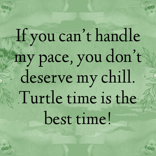 158+ Turtle Captions For Instagram In 2025 4 Turtle Captions Photo For Instagram In 2025-zC632z