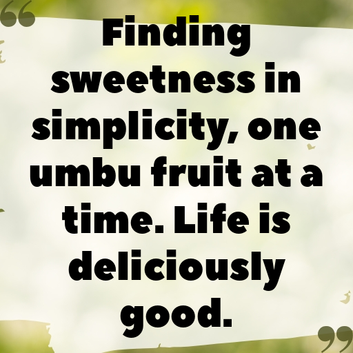 167+ Umbu Fruit Captions For Instagram In 2025 6 Umbu Fruit Captions Photo For Instagram In 2025-6bO110