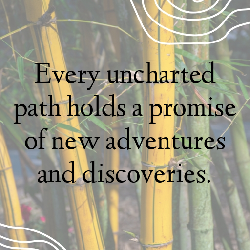 Uncharted Captions Photo for Instagram In 2025-fR1M48