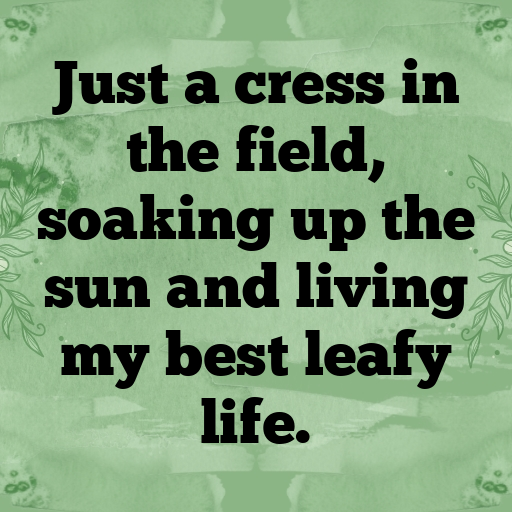 Upland Cress Captions Image For Instagram In 2025-Z6ybaK