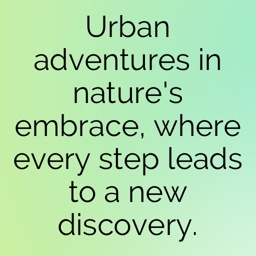 174+ Urban Nature Captions for Instagram In 2025 3 Urban Nature Captions Image for Instagram In 2025-AIm8tx