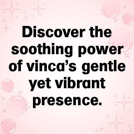 184+ Vinca Captions For Instagram In 2025 9 Vinca Captions Photo For Instagram In 2025-1ctG1E