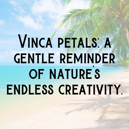 184+ Vinca Captions For Instagram In 2025 5 Vinca Captions Photo For Instagram In 2025-W40NQd