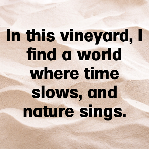 150+ Vineyard Walk Captions for Instagram In (2025) 9 Vineyard Walk Captions Image for Instagram In (2025)-ATsMGi