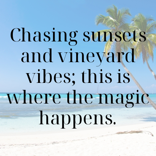 150+ Vineyard Walk Captions for Instagram In (2025) 7 Vineyard Walk Captions Image for Instagram In (2025)-kAfEi9