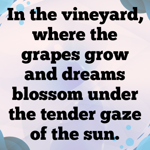 150+ Vineyard Walk Captions for Instagram In (2025) 6 Vineyard Walk Captions Image for Instagram In (2025)-wgvbTP