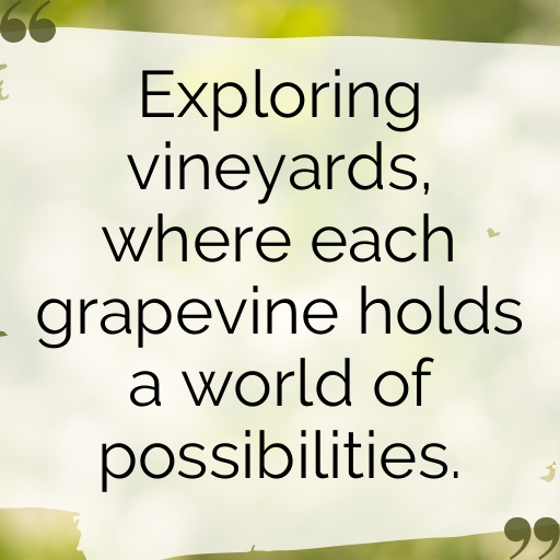 150+ Vineyard Walk Captions for Instagram In (2025) 3 Vineyard Walk Captions Image for Instagram In (2025)-ZEVSMg