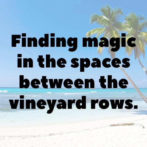 150+ Vineyard Walk Captions for Instagram In (2025) 5 Vineyard Walk Captions Photo for Instagram In (2025)-4CktqM