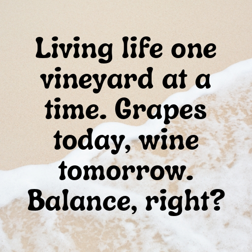 150+ Vineyard Walk Captions for Instagram In (2025) 4 Vineyard Walk Captions Photo for Instagram In (2025)-MKXDy4