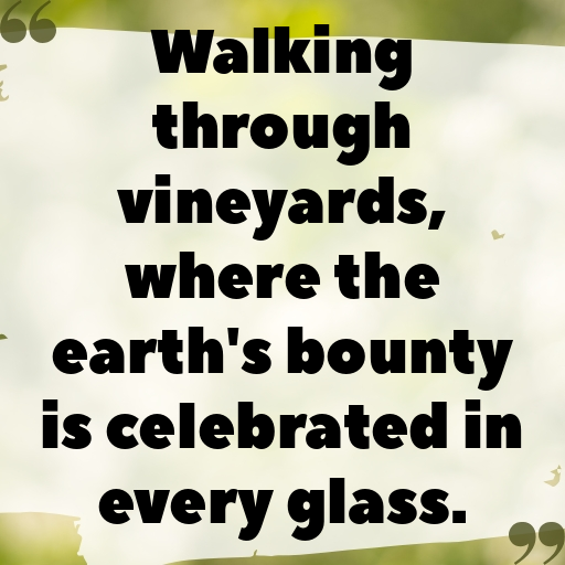 150+ Vineyard Walk Captions for Instagram In (2025) 10 Vineyard Walk Captions Photo for Instagram In (2025)-nTZR7R