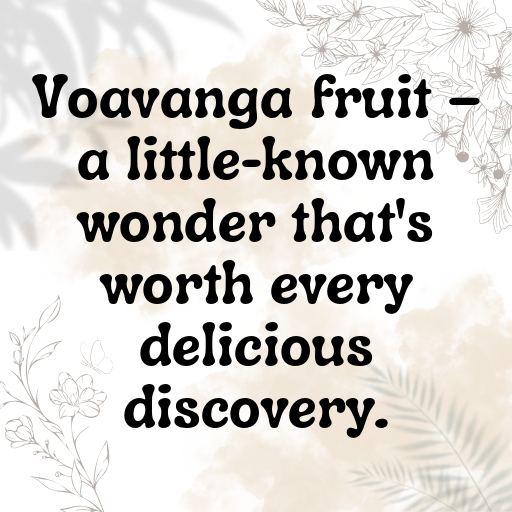 Voavanga Fruit Captions Image For Instagram In [2025]-B7dcOD