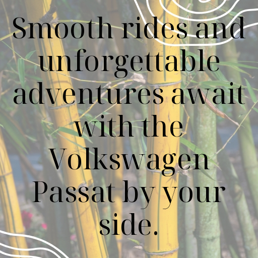 156+ Volkswagen Passat Captions for Instagram In 2025 10 Volkswagen Passat Captions Image for Instagram In 2025-6ryd1V
