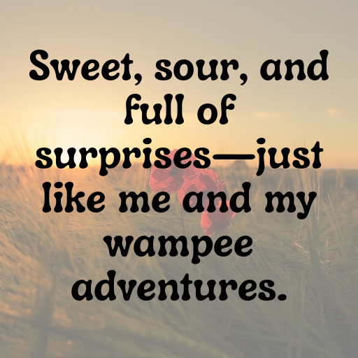 171+ Wampee Captions For Instagram In 2025 8 Wampee Captions Image For Instagram In 2025-iGKmzz