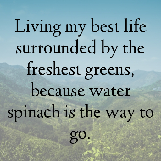 Water Spinach Captions Image For Instagram In (2025)-nhmvjJ