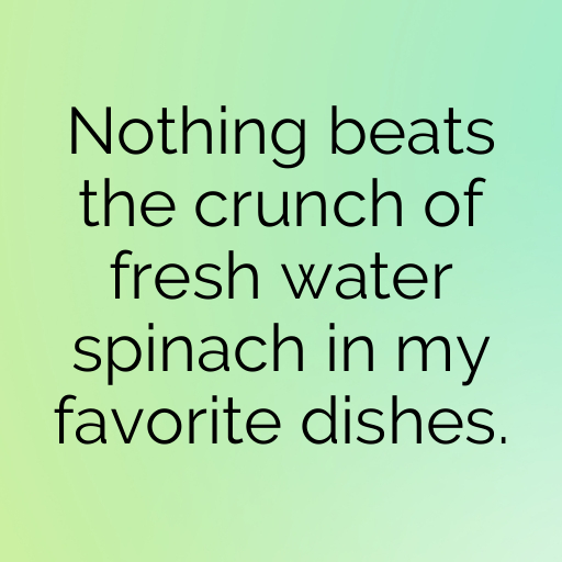 Water Spinach Captions Photo For Instagram In (2025)-2KyZvz