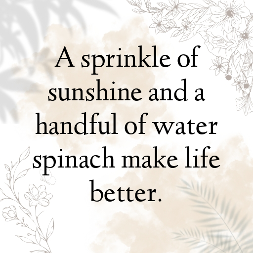 Water Spinach Captions Photo For Instagram In (2025)-iFoJMV