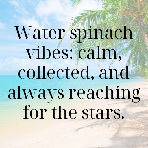 Water Spinach Captions Photo For Instagram In (2025)-PbSXIX