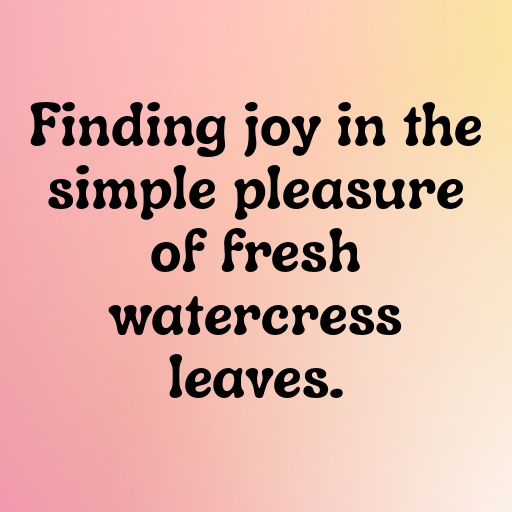 176+ Watercress Captions For Instagram In 2025 3 Watercress Captions Image For Instagram In 2025-6rsnFy