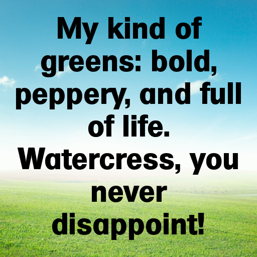 176+ Watercress Captions For Instagram In 2025 9 Watercress Captions Image For Instagram In 2025-dshUr2