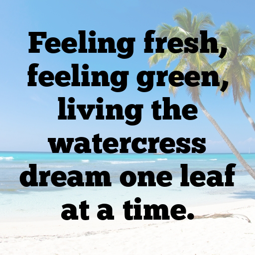 176+ Watercress Captions For Instagram In 2025 7 Watercress Captions Image For Instagram In 2025-hZtv13