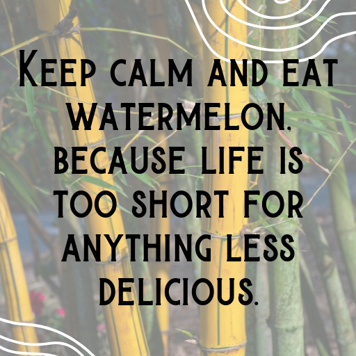 Watermelon Captions Image For Instagram In [2025]-kFMcF3
