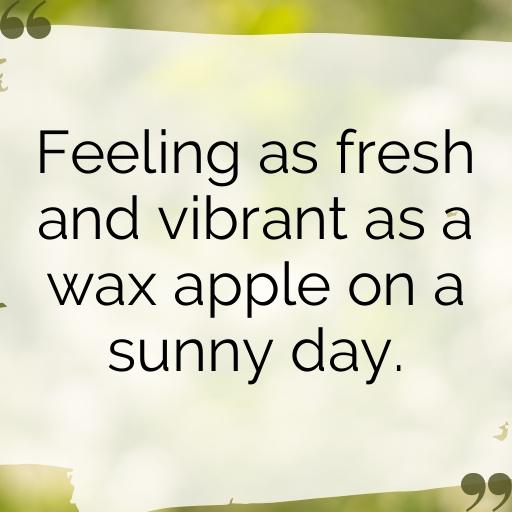 Wax Apple Captions Photo For Instagram In 2025-9s7bNo