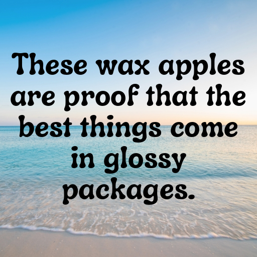 Wax Apple Captions Photo For Instagram In 2025-kgKgq7