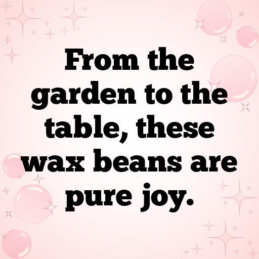 159+ Wax Bean Captions For Instagram In (2025) 5 Wax Bean Captions Photo For Instagram In (2025)-WId83v