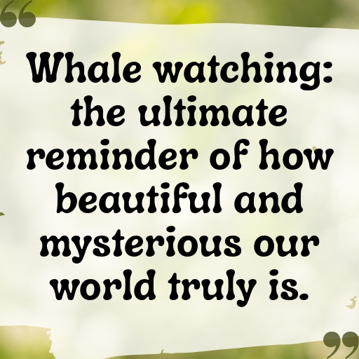 199+ Whale Captions For Instagram In 2025 3 Whale Captions Image For Instagram In 2025-HcaY1O