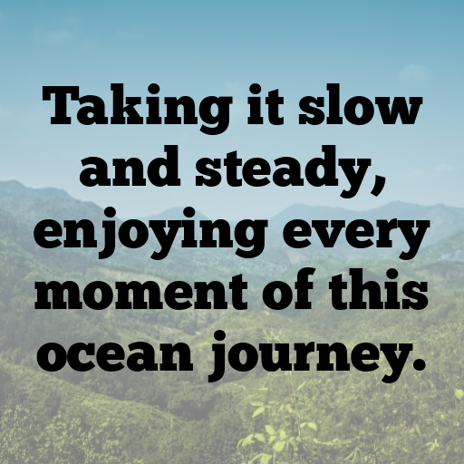 199+ Whale Captions For Instagram In 2025 7 Whale Captions Image For Instagram In 2025-PZnrWQ