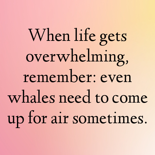199+ Whale Captions For Instagram In 2025 8 Whale Captions Photo For Instagram In 2025-RL8N59