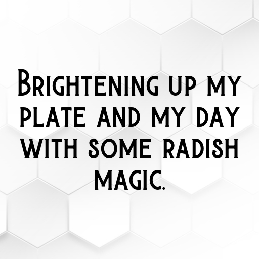 White Radish Captions Photo For Instagram In (2025)-16lit1