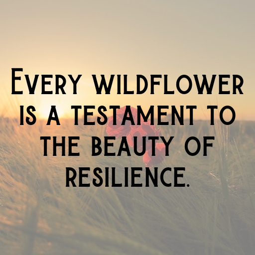 198+ Wildflower Captions for Instagram In 2025 9 Wildflower Captions Image for Instagram In 2025-cYHXB9
