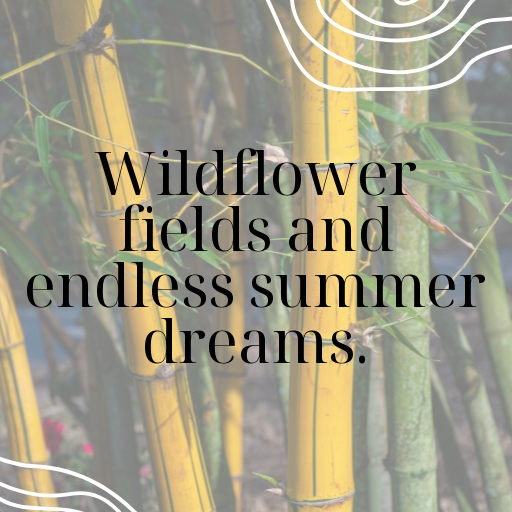 198+ Wildflower Captions for Instagram In 2025 5 Wildflower Captions Image for Instagram In 2025-Ggs56H