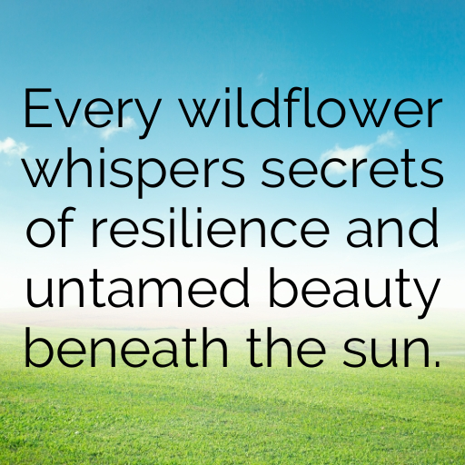 198+ Wildflower Captions for Instagram In 2025 7 Wildflower Captions Photo for Instagram In 2025-Mn0qip