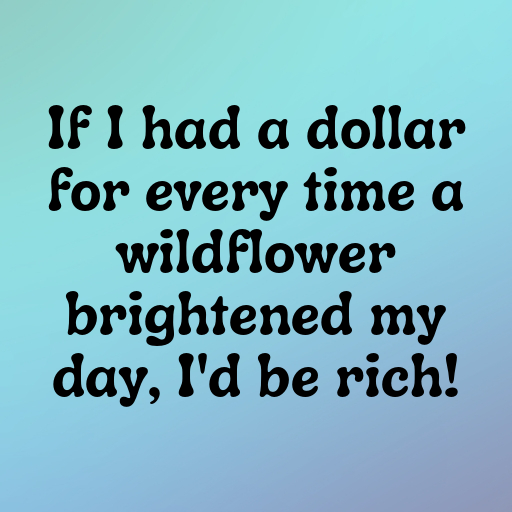 198+ Wildflower Captions for Instagram In 2025 4 Wildflower Captions Photo for Instagram In 2025-quMO9v