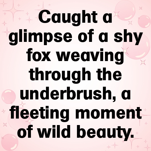 Wildlife Encounter Captions Photo for Instagram In [2025]-5UNb9W