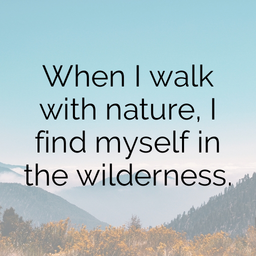 Wildlife Encounter Captions Photo for Instagram In [2025]-815522