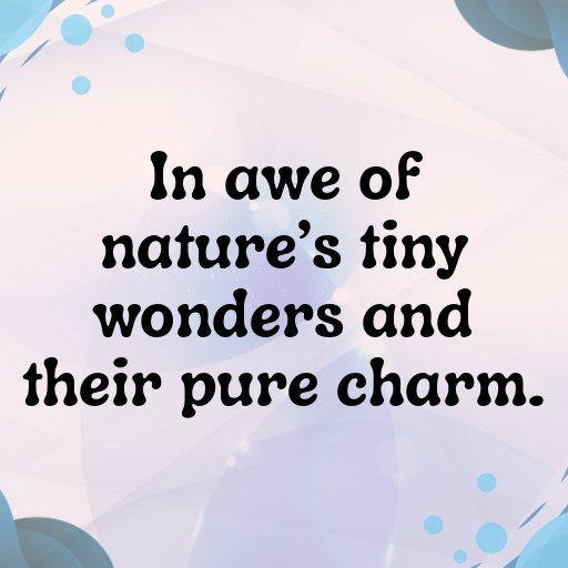 Wildlife Encounter Captions Photo for Instagram In [2025]-GnaCKq