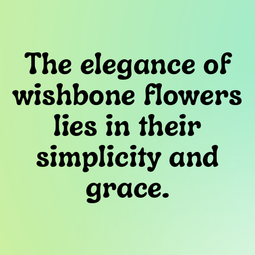 Wishbone Flower Captions Image For Instagram In [2025]-C7oNtc