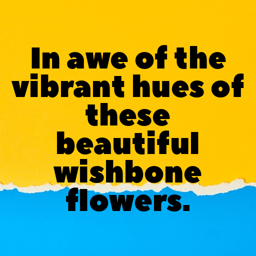Wishbone Flower Captions Image For Instagram In [2025]-gbUrc2