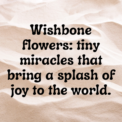 Wishbone Flower Captions Image For Instagram In [2025]-UxSZbG