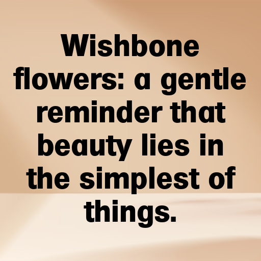 Wishbone Flower Captions Photo For Instagram In [2025]-TnDleu