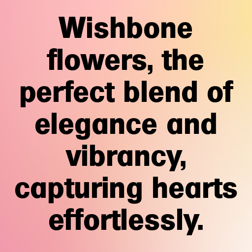 Wishbone Flower Captions Photo For Instagram In [2025]-wTWsdB