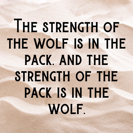167+ Wolf Captions For Instagram In (2025) 9 Wolf Captions Image For Instagram In (2025)-MjFVJO