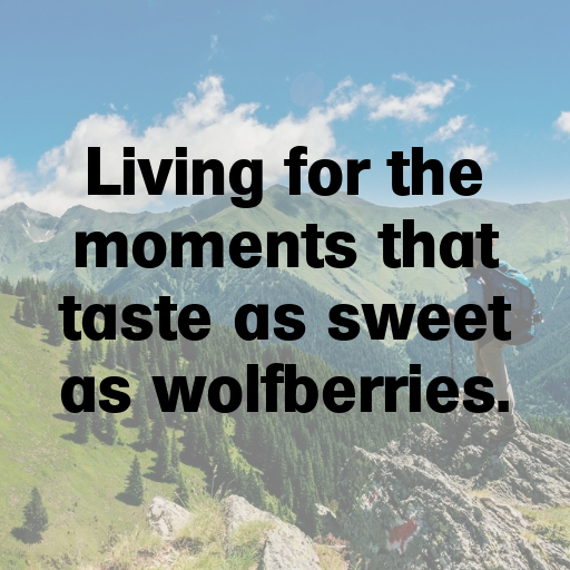 Wolfberry Captions Image For Instagram In (2025)-cq8aW9