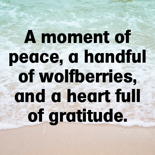 Wolfberry Captions Image For Instagram In (2025)-cSUXie